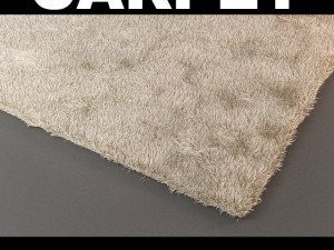 rug Modelo 3D