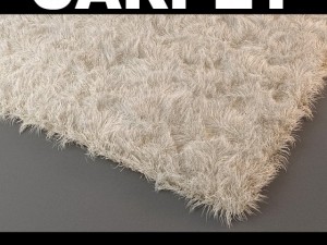 rug Modelo 3D