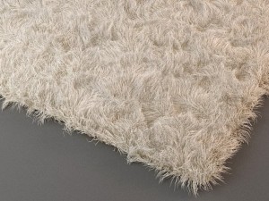 rug 3D Model