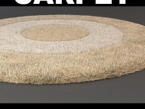rug detailed 4 Modelo 3D