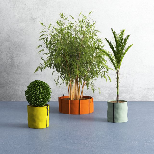 bacsac and plants 3D Модель .c4d .max .obj .3ds .fbx .stl .blend 
