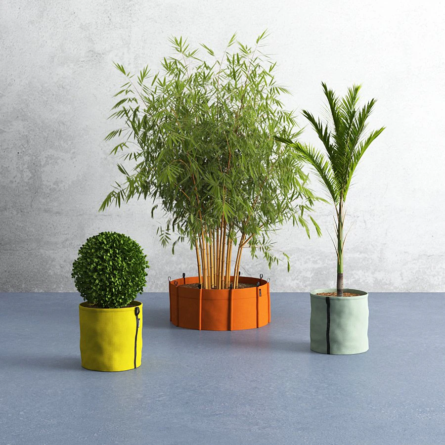 박삭과 식물 3D 모델 .c4d .max .obj .3ds .fbx .stl .blend 