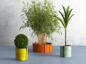 박삭과 식물 3D 모델