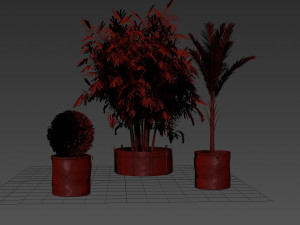 bacsac and plants 3D Модель