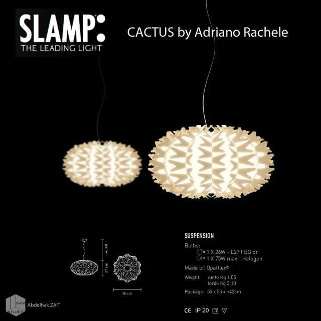cactus slamp suspension Modelo 3D .c4d .max .obj .3ds .fbx .stl .blend