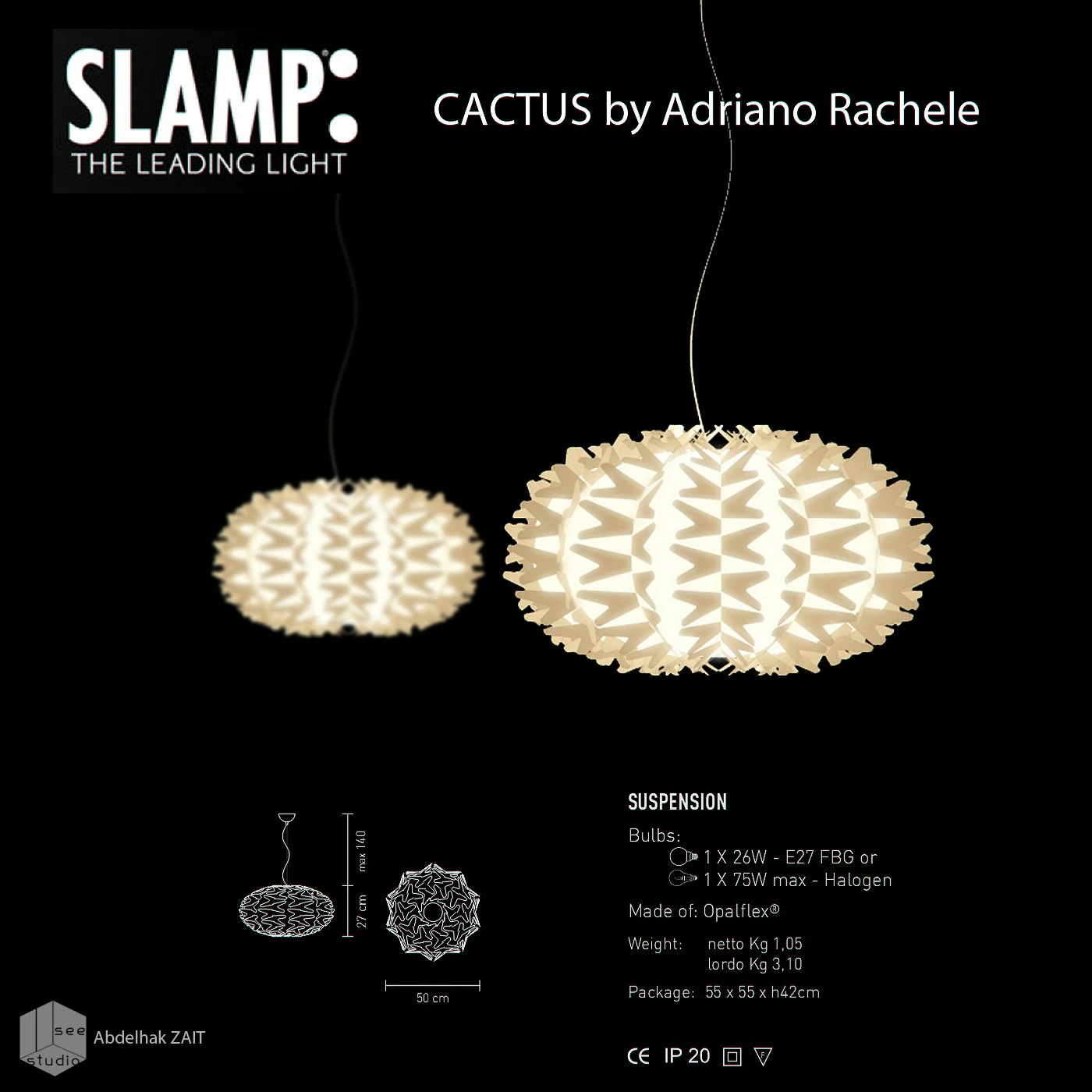 cactus slamp suspension 3D Model .c4d .max .obj .3ds .fbx .stl .blend