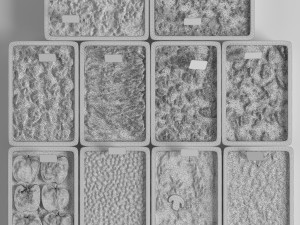 Meal line 2 3D Модель