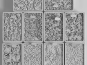 Meal line 2 3D Model