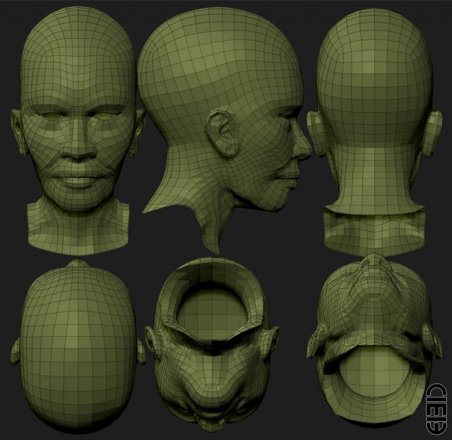 head of the character 3D 模型 .c4d .max .obj .3ds .fbx .stl .blend 