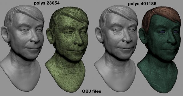 the sculpture of the human head svetin 3D Modell .c4d .max .obj .3ds .fbx .stl .blend