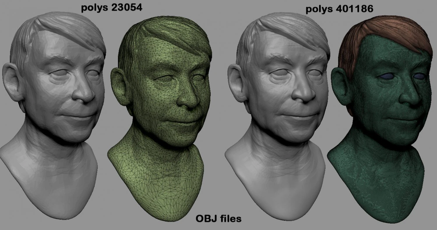 the sculpture of the human head svetin 3D Model .c4d .max .obj .3ds .fbx .stl .blend 