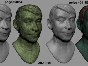 the sculpture of the human head svetin 3D Модель