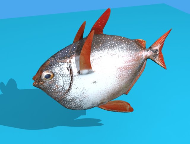 opah fish 3D 模型 .c4d .max .obj .3ds .fbx .stl .blend 
