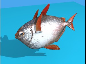 opah fish 3D Model
