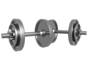 dumbbell weight Model 3D