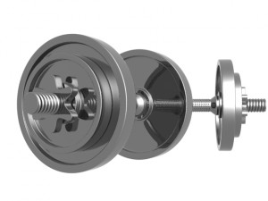 dumbbell weight Modello 3D