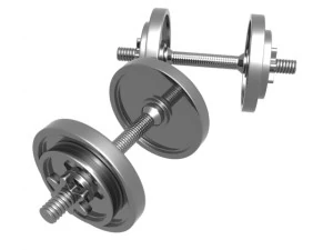 dumbbell weight 3D Model