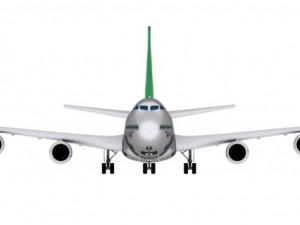 boeing alitalia 3D Model