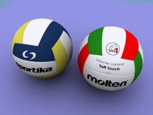 volleyball 3D Model