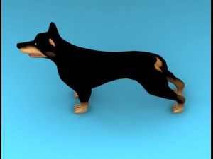 dobermann dog 3D 모델