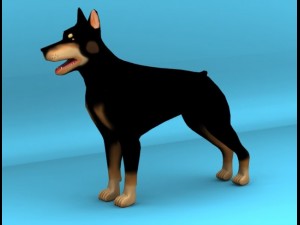 dobermann dog 3D 모델