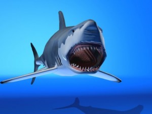 great white shark Modelo 3D
