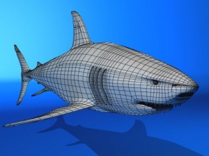 great white shark Modelo 3D