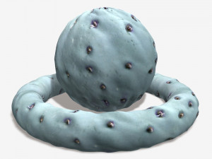 Blue Cactus Seamless Texture 3D Model