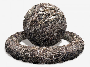 Dead Crawling Vines Tile 3D Model