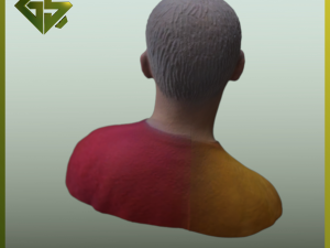 Bust of the Famous Footballer Mauro Icardi 3D प्रिंट मॉडल