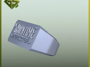 3D Logo-Engraved Ring Designs 3D Print Model