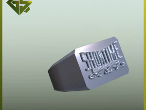 3D Logo-Engraved Ring Designs 3D Print Model