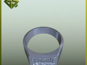 3D Logo-Engraved Ring Designs 3D Print Model