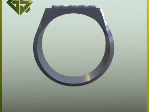 3D Logo-Engraved Ring Designs 3D Print Model
