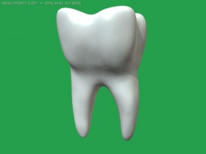 tooth 3D Model