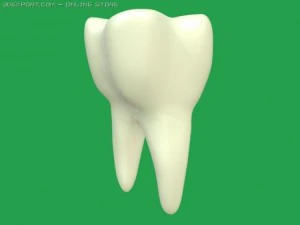 Zahn 3D Modell