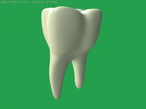 Zahn 3D Modell