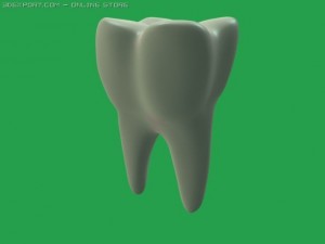 tooth 3D Model