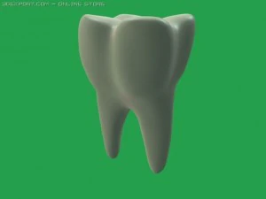 Zahn 3D Modell