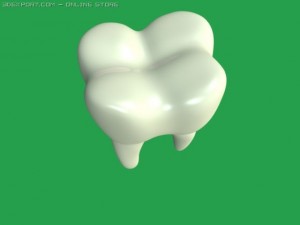 tooth 3D Model