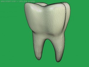 tooth 3D Model