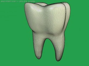Zahn 3D Modell