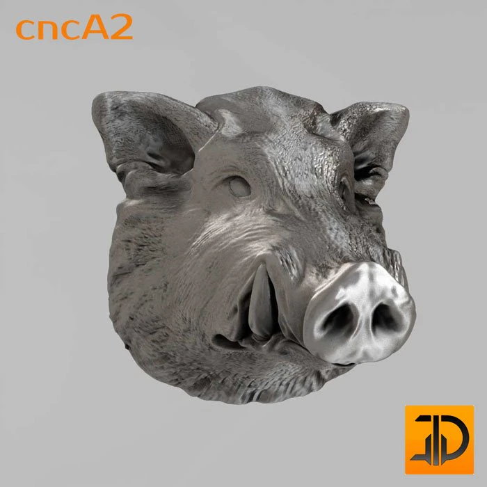 muzzle boar 3D Model .c4d .max .obj .3ds .fbx .stl .blend 