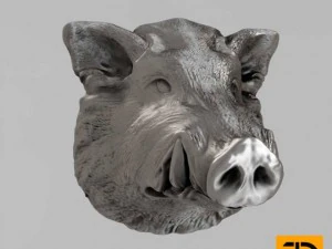 muzzle boar 3D Model