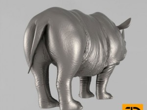 rhino 3D Model