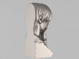 bust 3D 模型
