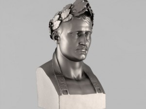a bust of napoleon 3D Model
