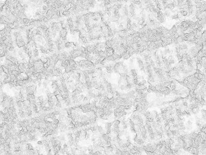 struttura realistica della pietra sabbia CG Textures