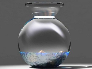 stones in glass vase Model 3D