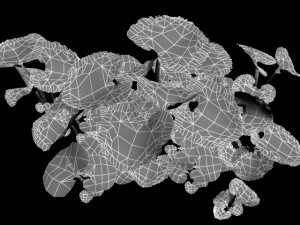 common butterbur Modello 3D